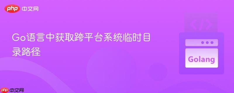 Go语言中获取跨平台系统临时目录路径
