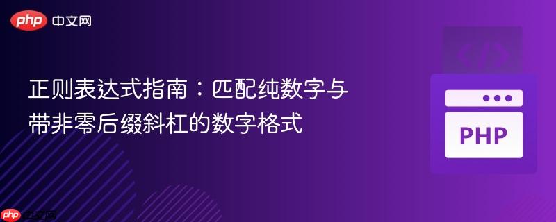 正则表达式指南：匹配纯数字与带非零后缀斜杠的数字格式