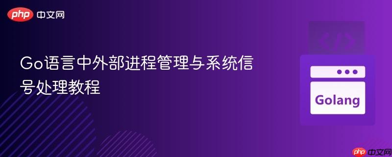 Go语言中外部进程管理与系统信号处理教程