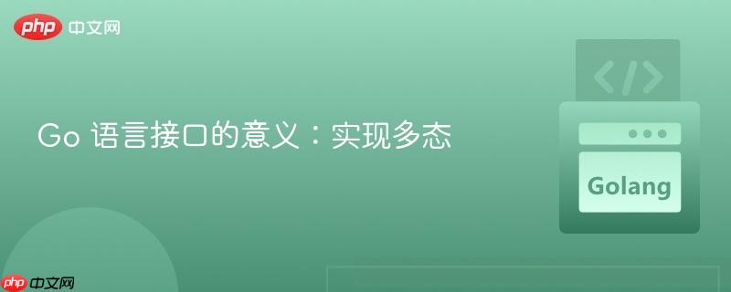 Go 语言接口的意义：实现多态