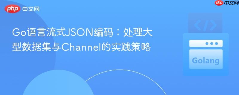 Go语言流式JSON编码：处理大型数据集与Channel的实践策略