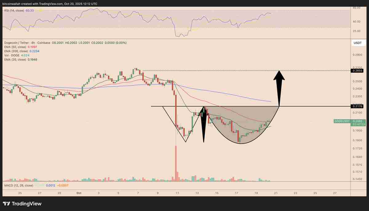 喜报：狗狗币价格在马斯克发布DOGE相关帖子后有望上涨25%