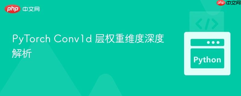 PyTorch Conv1d 层权重维度深度解析