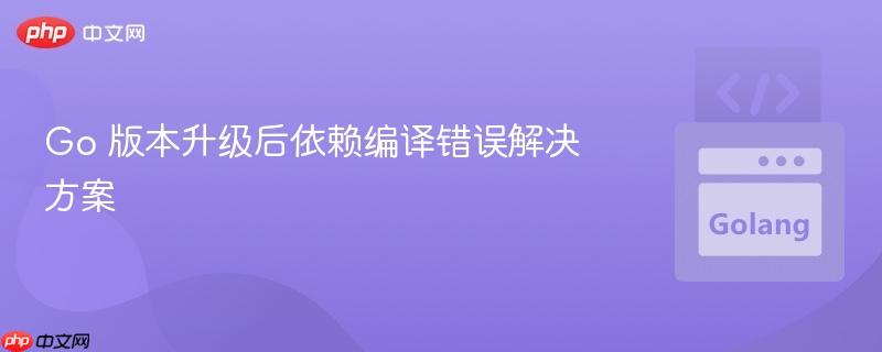 Go 版本升级后依赖编译错误解决方案