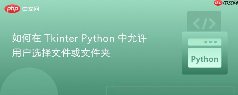如何在 Tkinter Python 中允许用户选择文件或文件夹