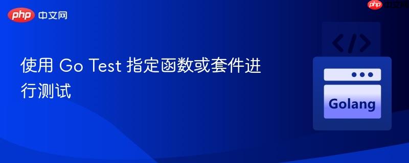 使用 Go Test 指定函数或套件进行测试