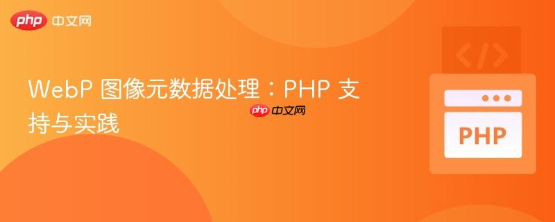 webp 图像元数据处理：php 支持与实践