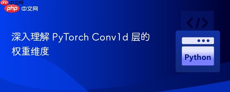 深入理解 PyTorch Conv1d 层的权重维度