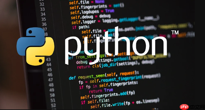 python特殊传参如何实现