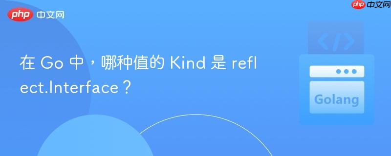 在 Go 中，哪种值的 Kind 是 reflect.Interface？