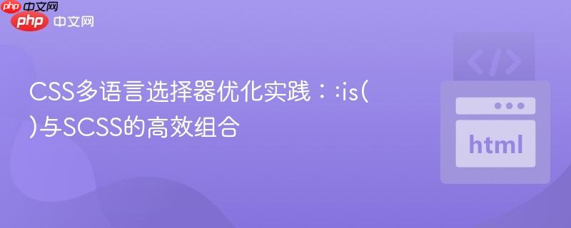CSS多语言选择器优化实践：:is()与SCSS的高效组合