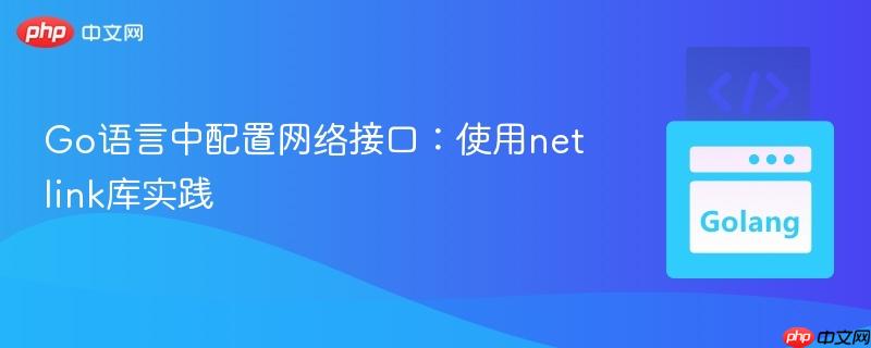 Go语言中配置网络接口：使用netlink库实践
