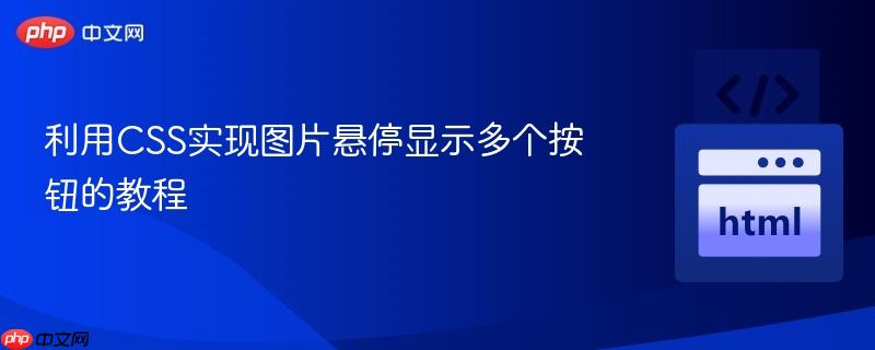 利用CSS实现图片悬停显示多个按钮的教程