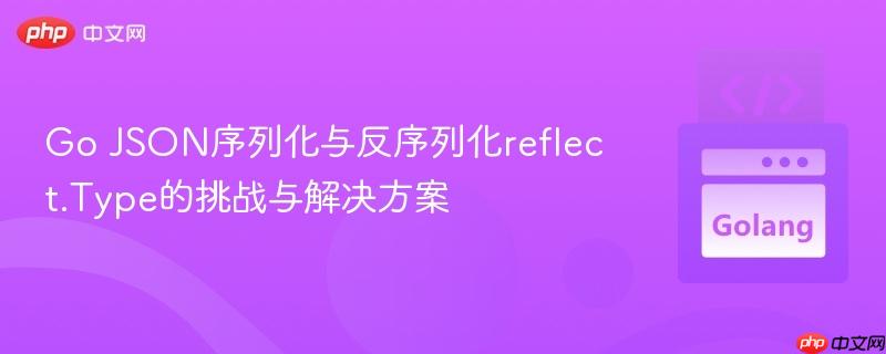 Go JSON序列化与反序列化reflect.Type的挑战与解决方案