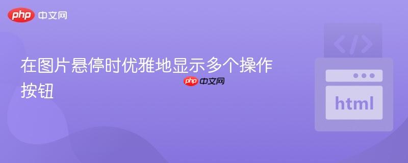 在图片悬停时优雅地显示多个操作按钮
