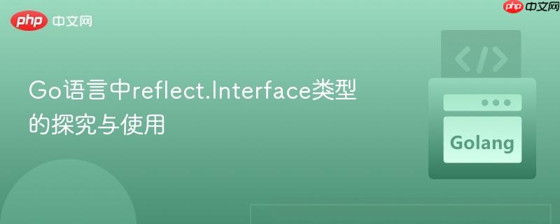 Go语言中reflect.Interface类型的探究与使用