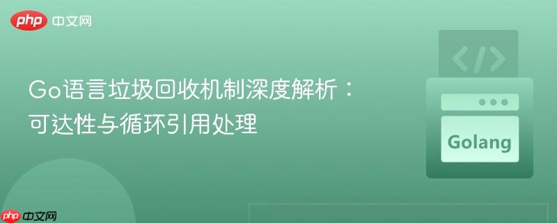 Go语言垃圾回收机制深度解析：可达性与循环引用处理