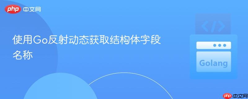 使用Go反射动态获取结构体字段名称