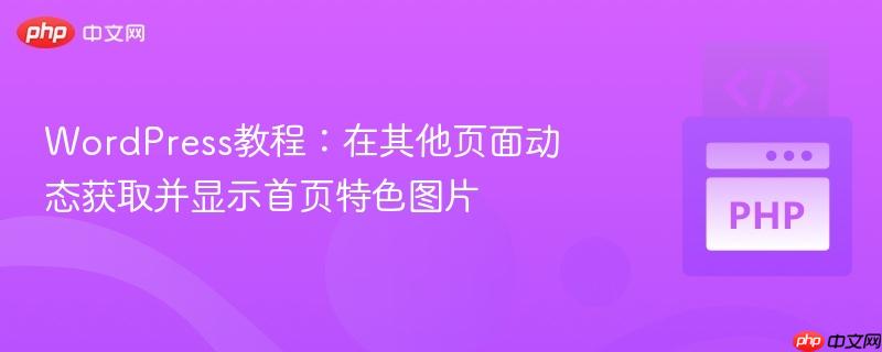wordpress教程：在其他页面动态获取并显示首页特色图片