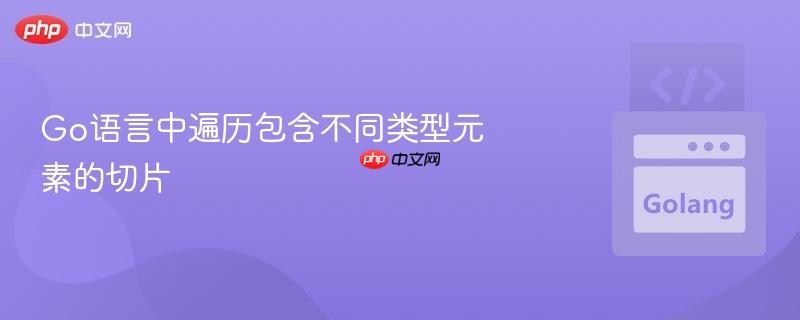 Go语言中遍历包含不同类型元素的切片