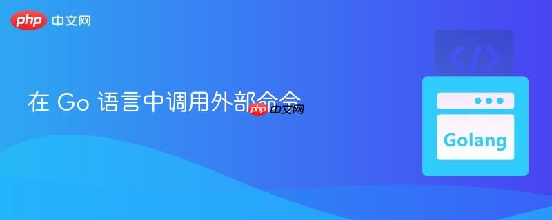 在 Go 语言中调用外部命令