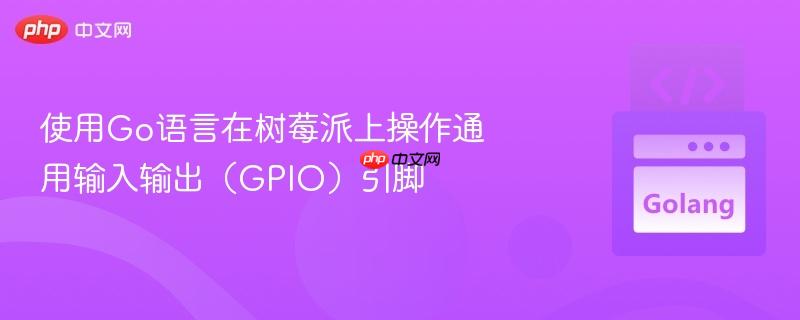 使用Go语言在树莓派上操作通用输入输出（GPIO）引脚