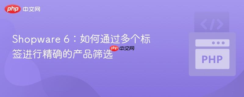 shopware 6：如何通过多个标签进行精确的产品筛选