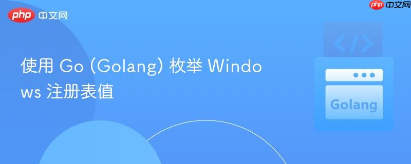 使用 Go (Golang) 枚举 Windows 注册表值