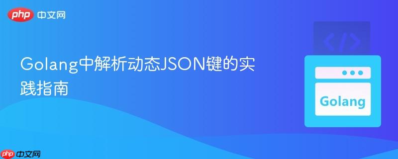 Golang中解析动态JSON键的实践指南