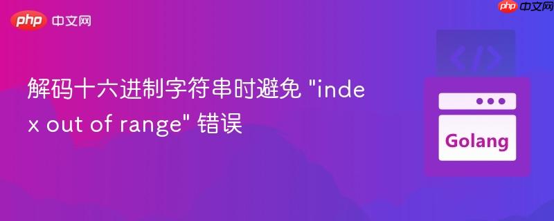 解码十六进制字符串时避免 “index out of range” 错误