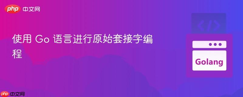 使用 Go 语言进行原始套接字编程