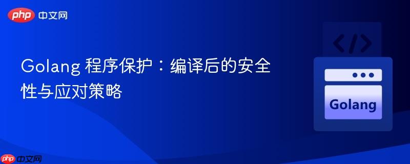 Golang 程序保护：编译后的安全性与应对策略