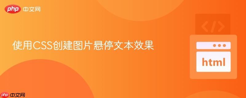 使用CSS创建图片悬停文本效果