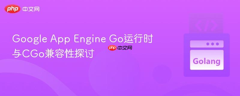 Google App Engine Go运行时与CGo兼容性探讨
