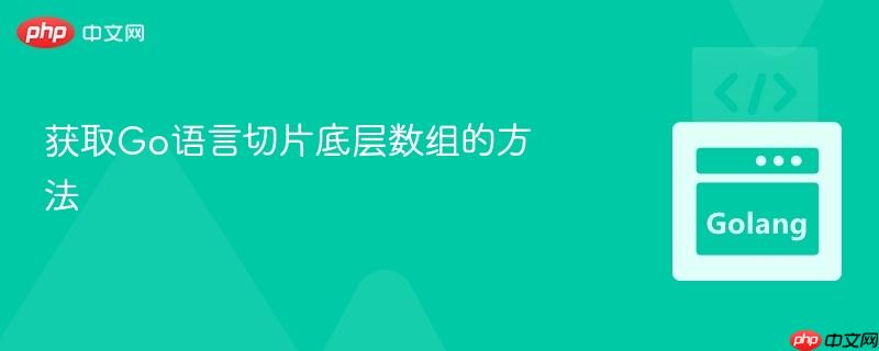 获取Go语言切片底层数组的方法