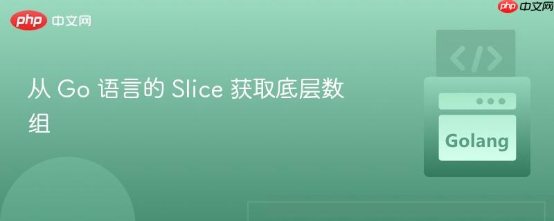 从 Go 语言的 Slice 获取底层数组