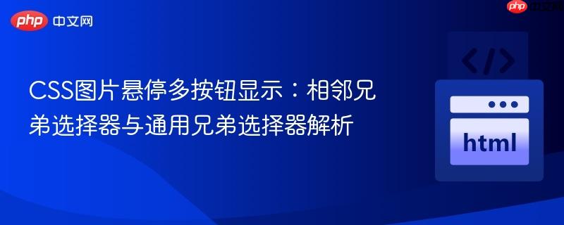 CSS图片悬停多按钮显示：相邻兄弟选择器与通用兄弟选择器解析