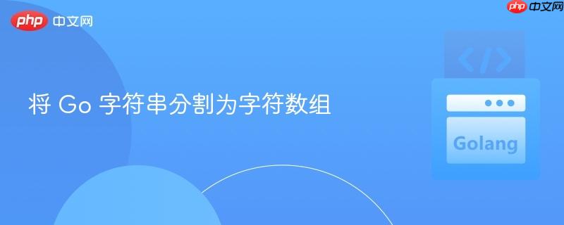 将 Go 字符串分割为字符数组