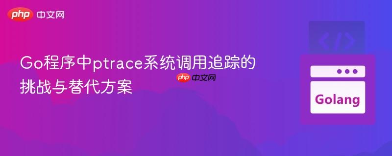 Go程序中ptrace系统调用追踪的挑战与替代方案