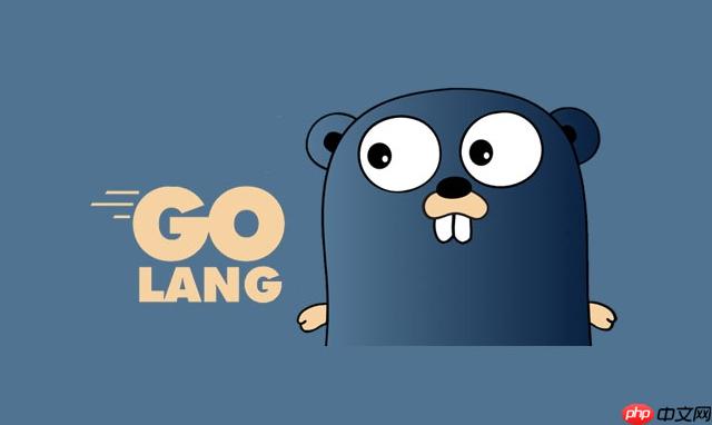 Golang如何判断错误类型