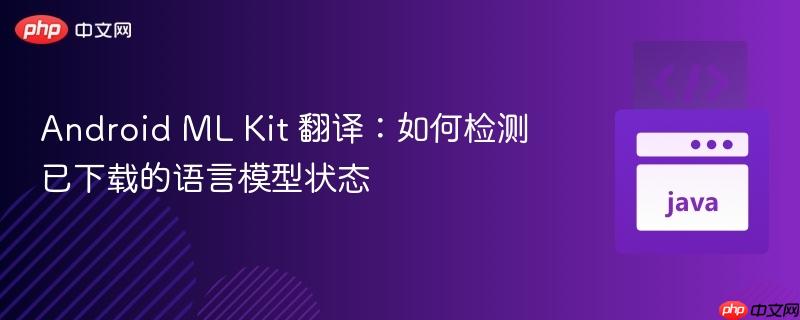 Android ML Kit 翻译：如何检测已下载的语言模型状态