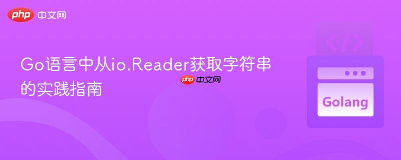 Go语言中从io.Reader获取字符串的实践指南