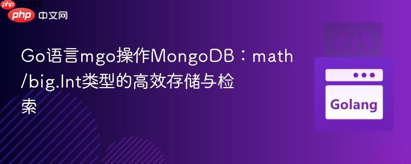 Go语言mgo操作MongoDB：math/big.Int类型的高效存储与检索