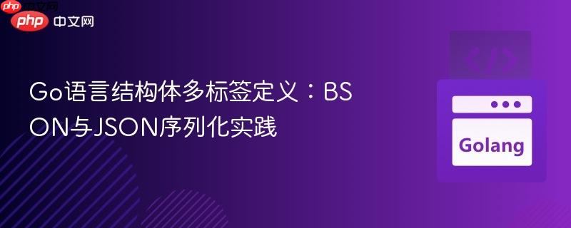 Go语言结构体多标签定义：BSON与JSON序列化实践