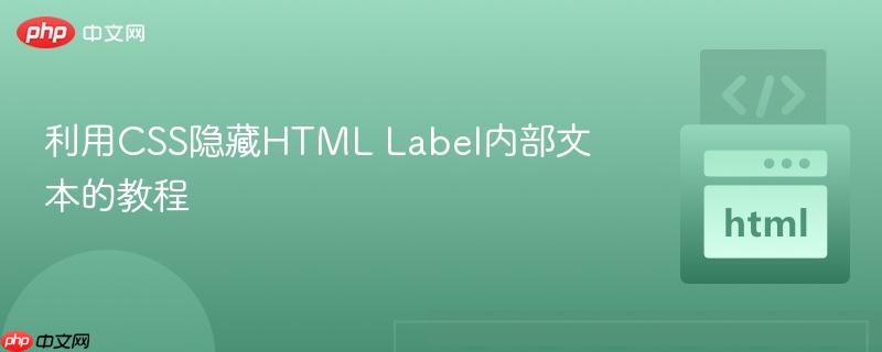 利用CSS隐藏HTML Label内部文本的教程