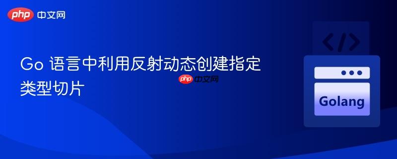 Go 语言中利用反射动态创建指定类型切片