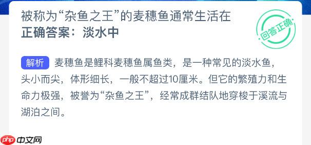 被称为杂鱼之王的麦穗鱼通常生活在