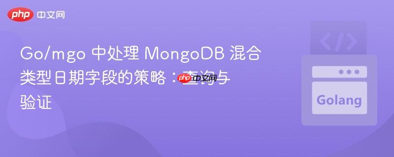 Go/mgo 中处理 MongoDB 混合类型日期字段的策略：查询与验证