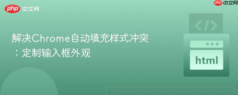 解决Chrome自动填充样式冲突：定制输入框外观