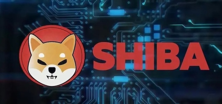 什么是SHIB（柴犬币）？如何购买、价格预测及社区分析 | 在币安（Binance）购买柴犬币全攻略 - 创想鸟